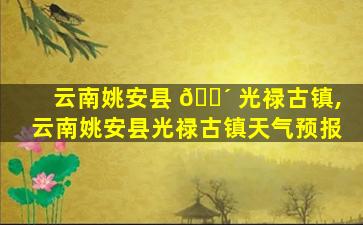 云南姚安县 🐴 光禄古镇,云南姚安县光禄古镇天气预报